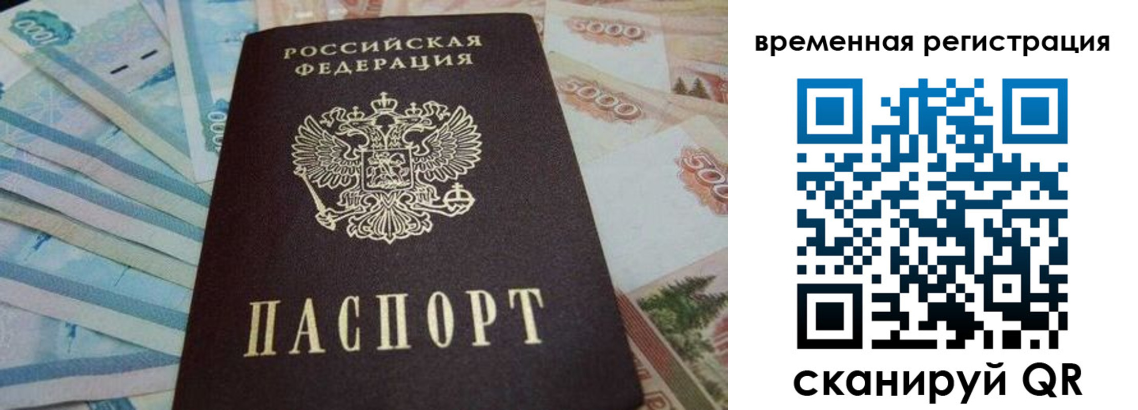 временная регистрация гарантия в Дорогобуже
